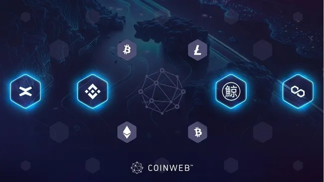 CoinwebBNBPolygon